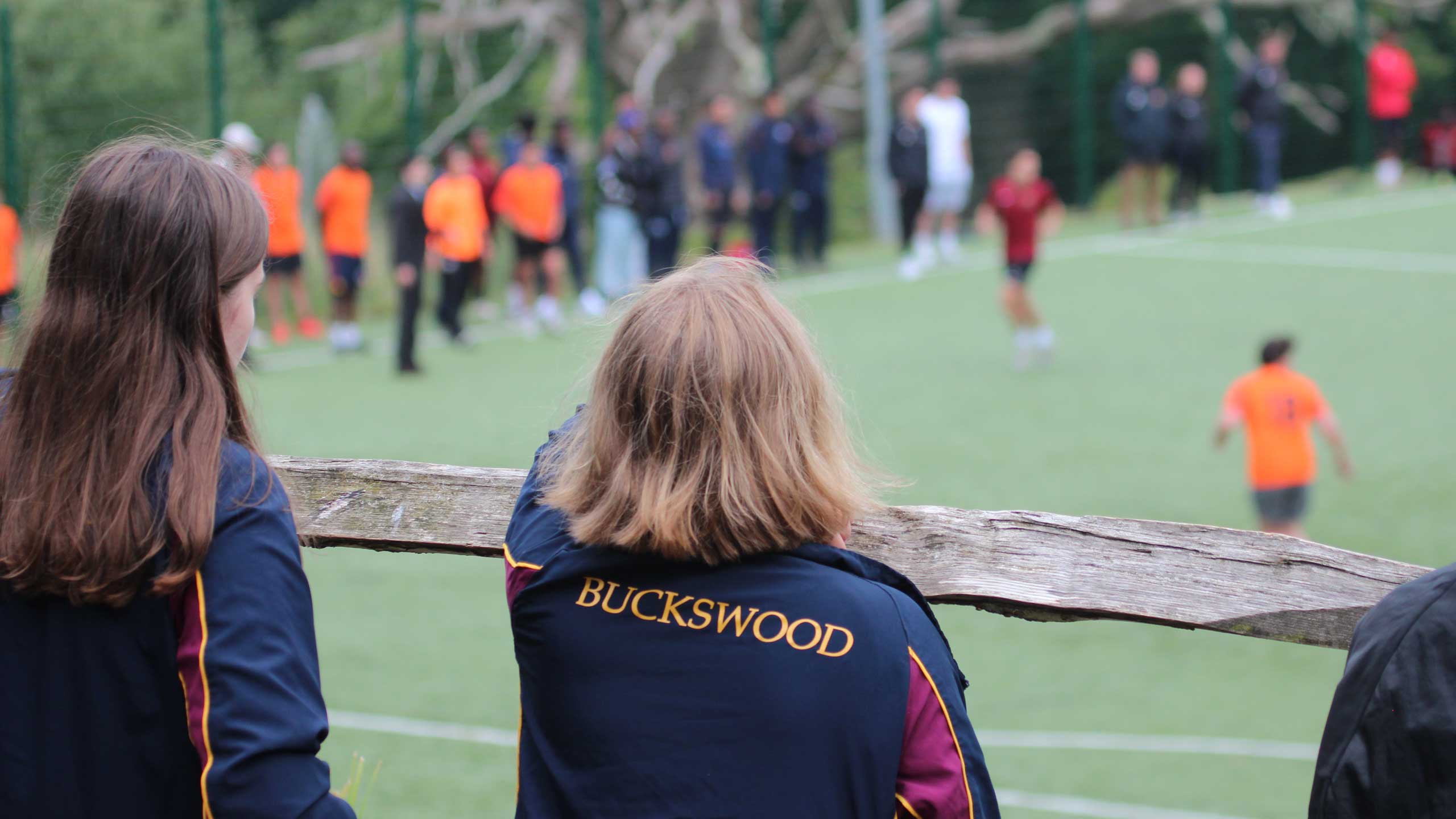 Buckswood School — fotoğraf 1