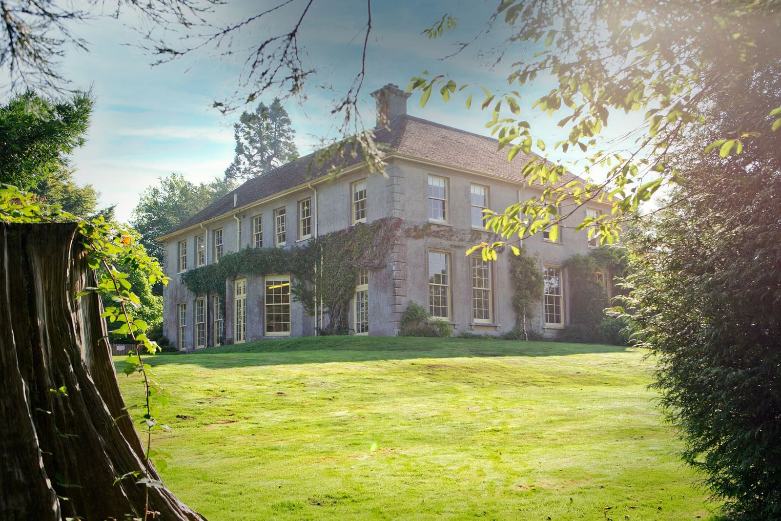 Castle Court School — fotoğraf 1