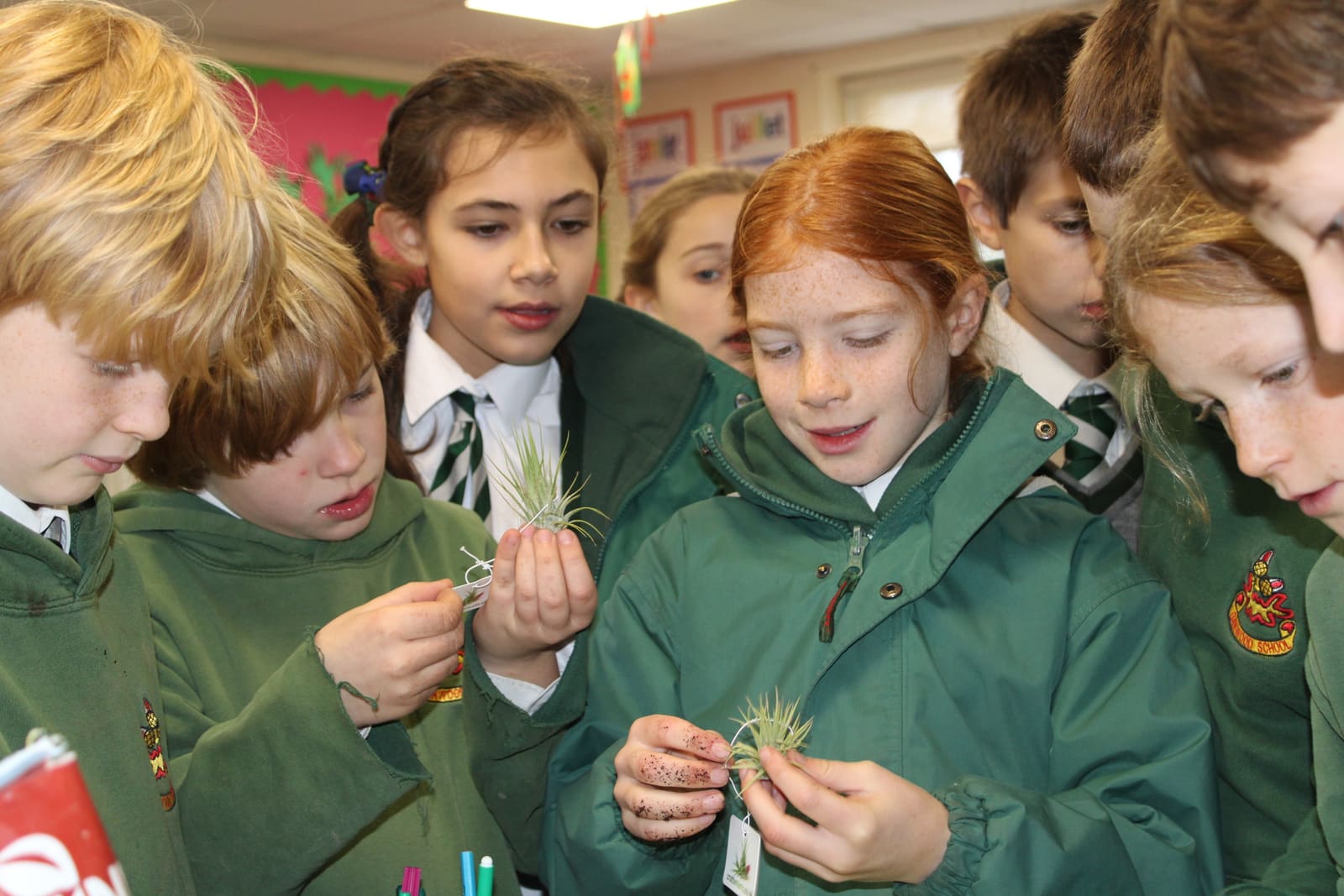 Oakwood School, Chichester — fotoğraf 1