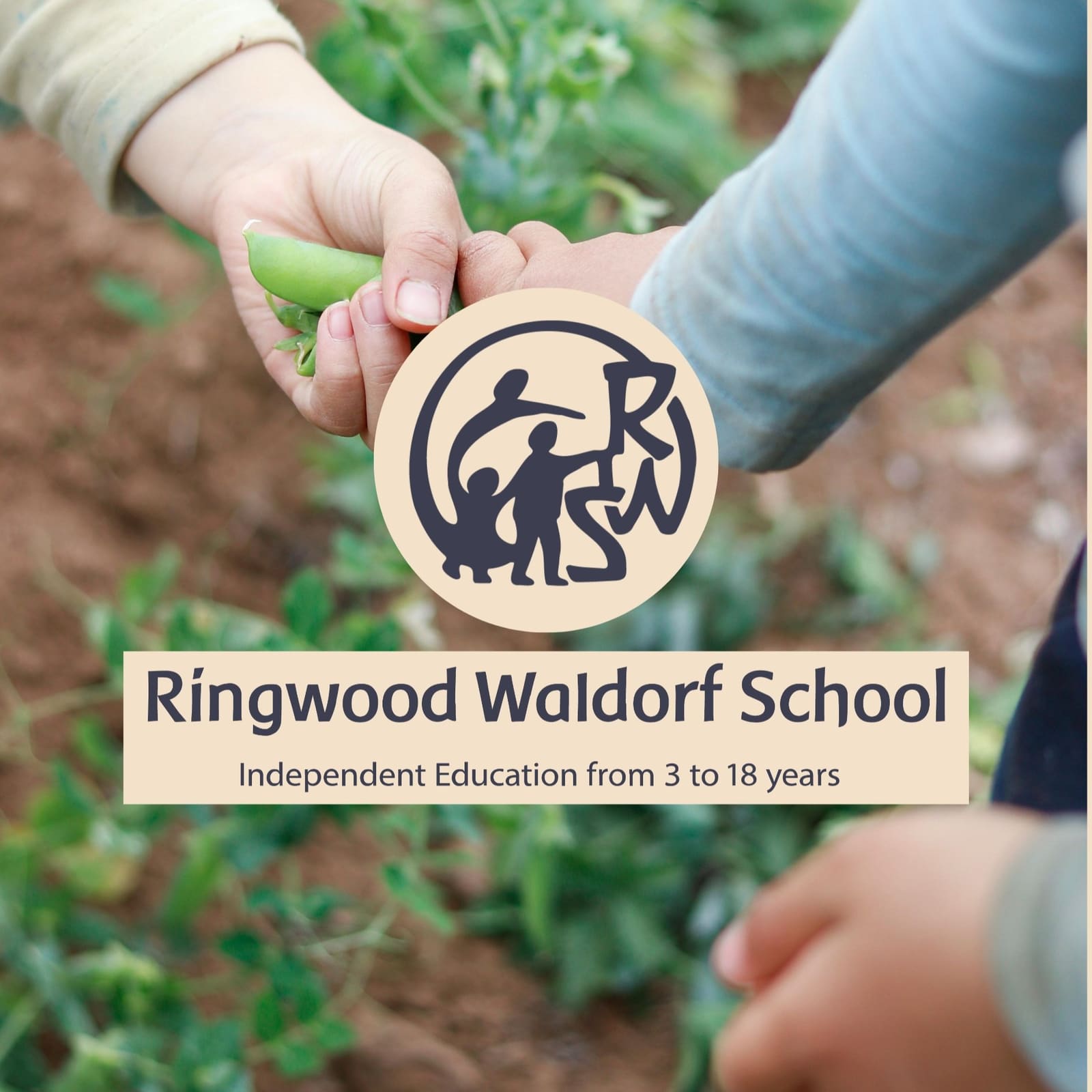 Ringwood Waldorf School — fotoğraf 1