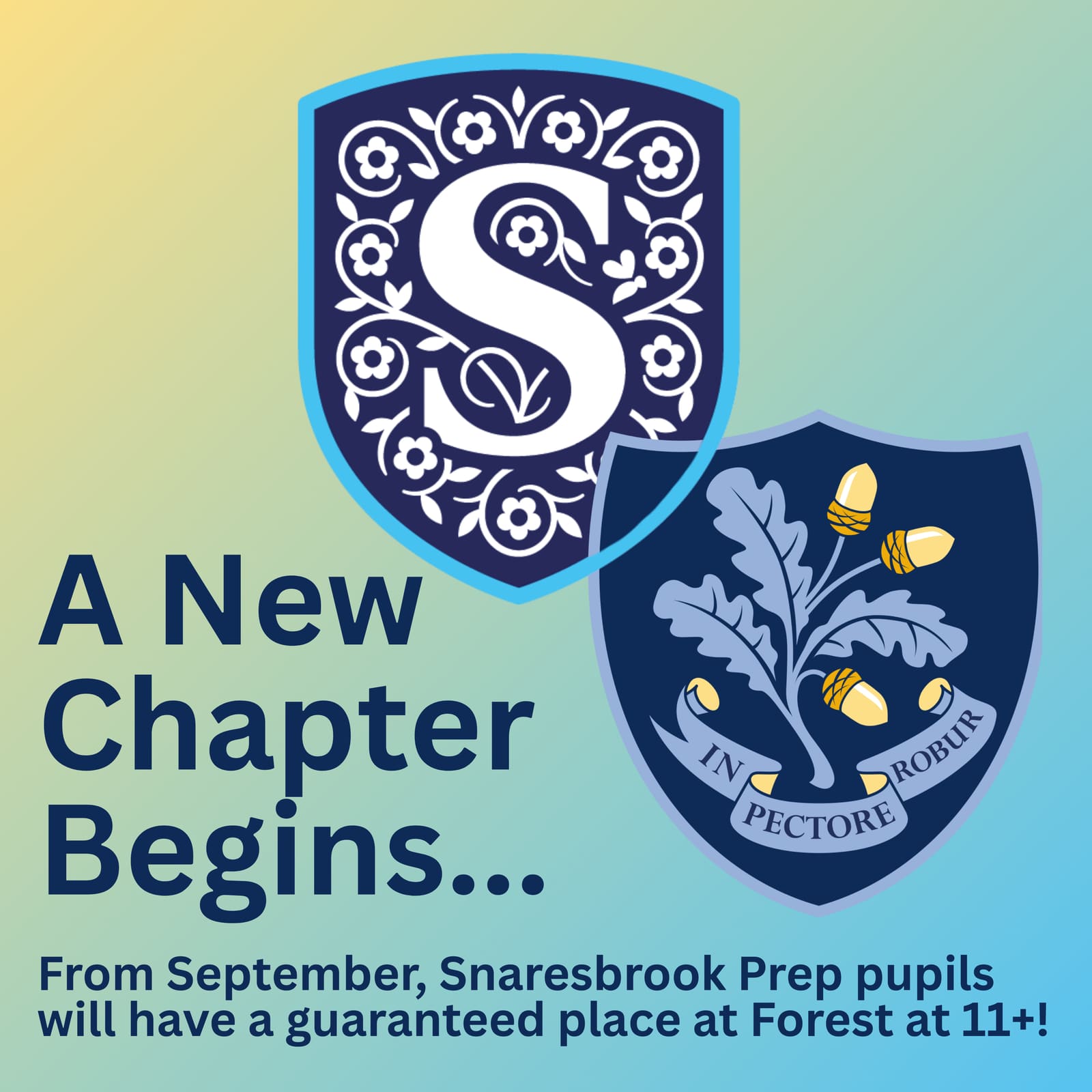 Snaresbrook Prep School — fotoğraf 1